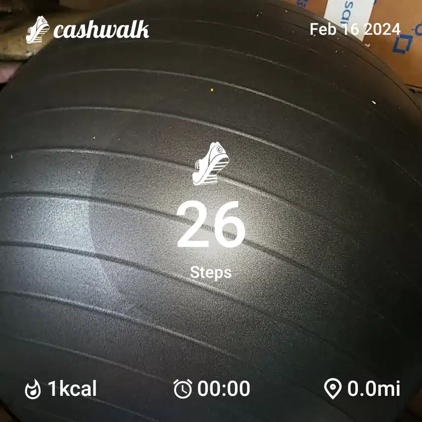 CashWalk_share_capture_20240216_66238467-96d0-468b-a9e6-74841b1a